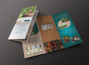 نمونه کار شماره 5